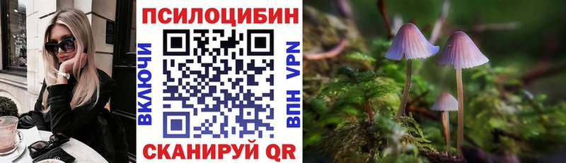 Галлюциногенные грибы Magic Shrooms  Мичуринск 