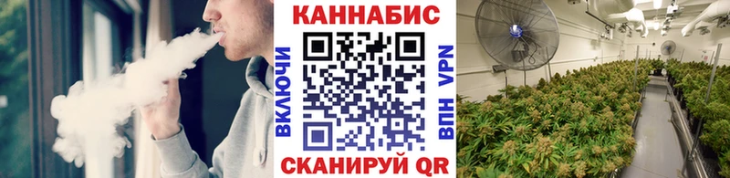 Каннабис сатива  дарк нет наркотические препараты  Мичуринск 
